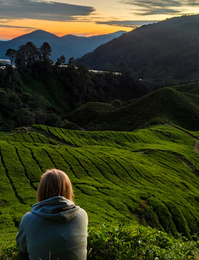 Cameron (Diaz) Highlands