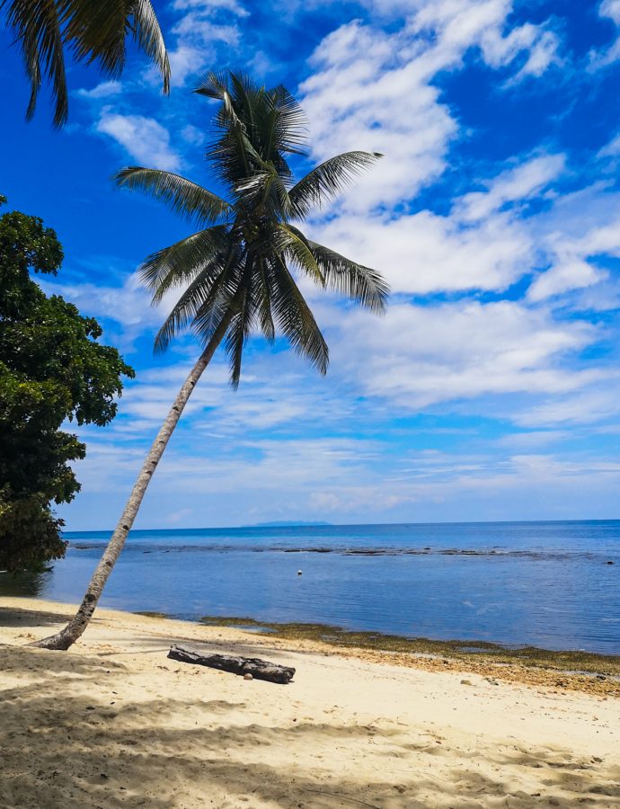 Togian Islands – Paradies oder 7 vs. wild