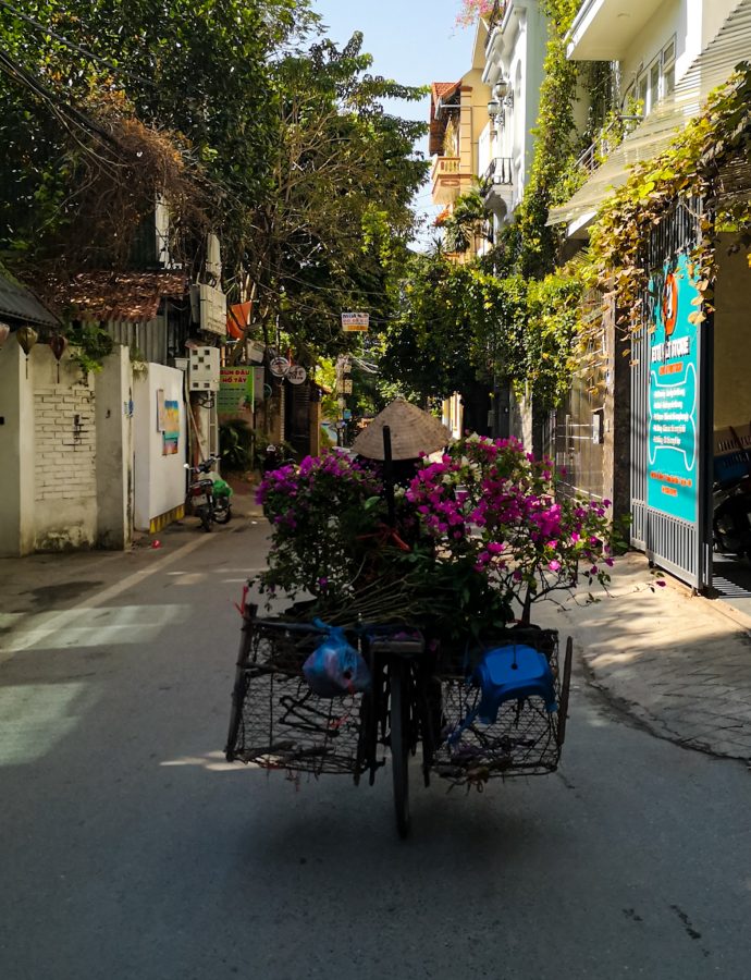Hi aus Hanoi
